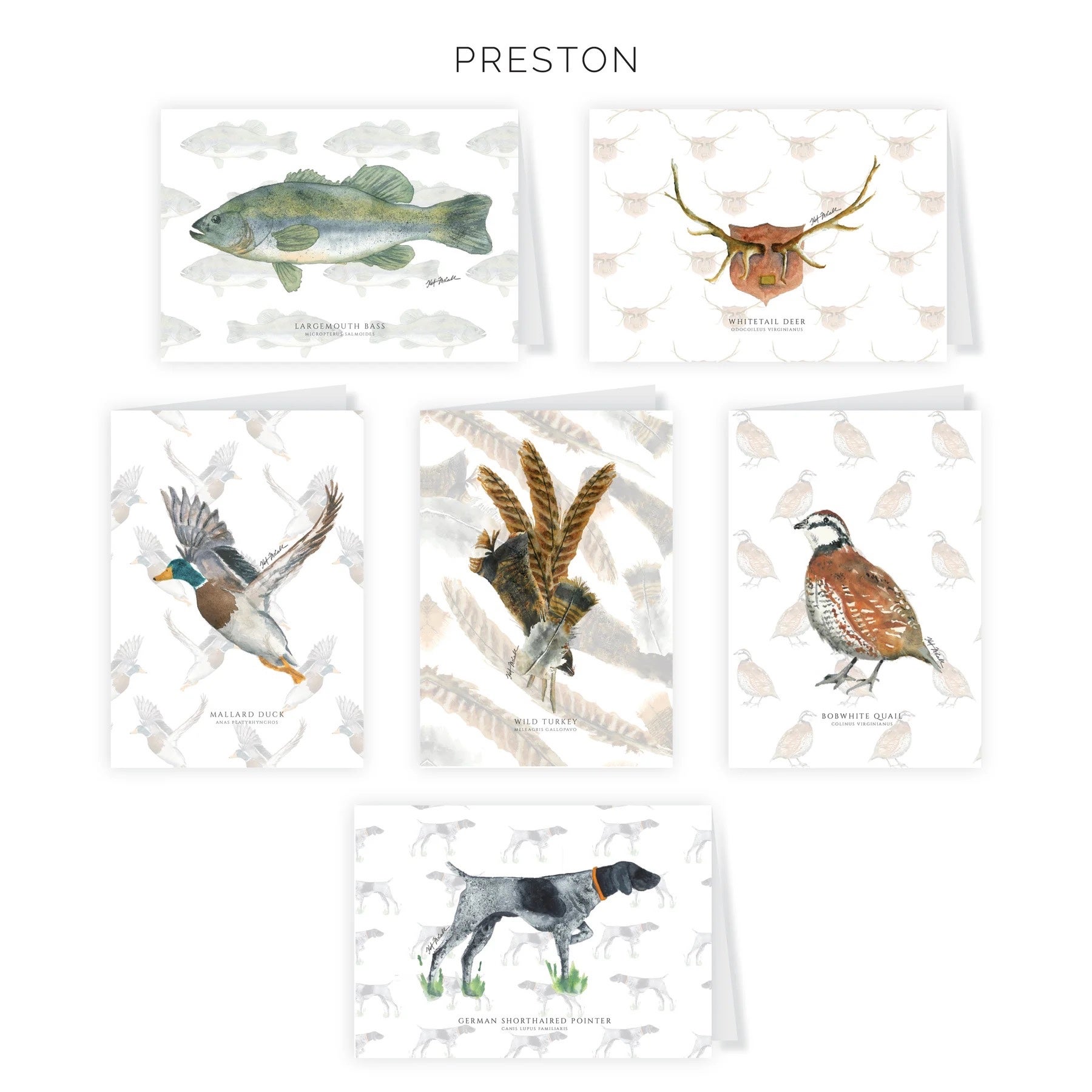 PRESTON GREETING CARD SET OF 6